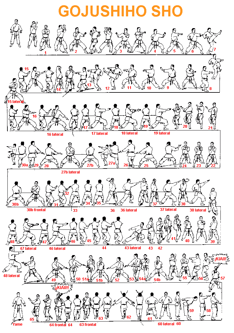 GojushihoSho1a